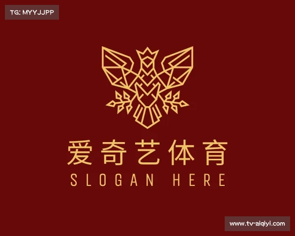 发现爱奇艺体育